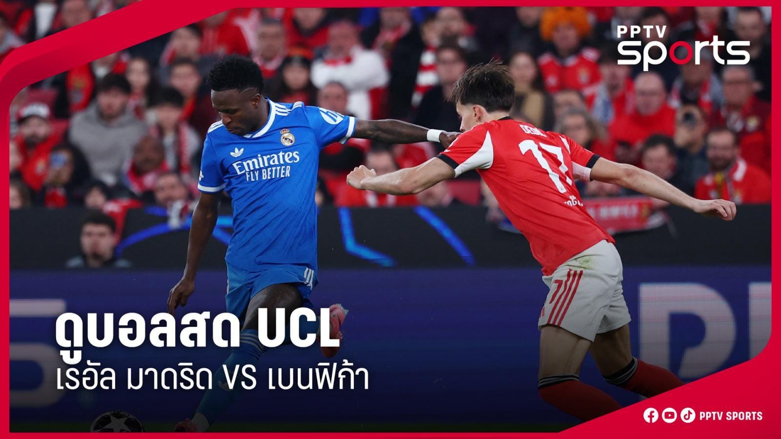 ภาพประกอบ