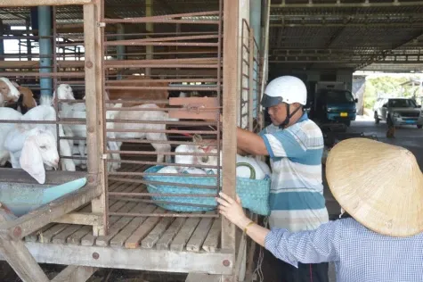 ภาพประกอบ