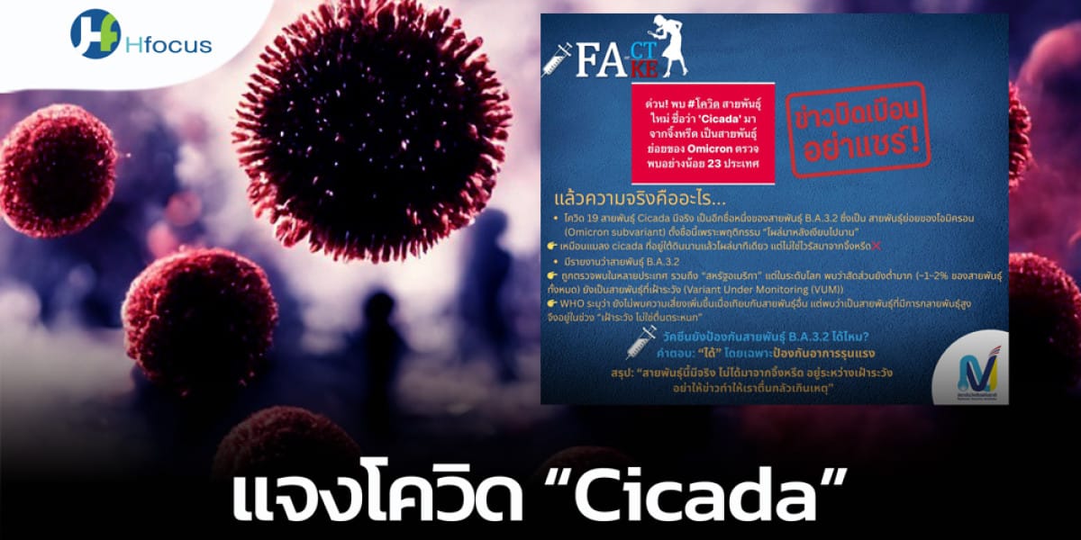 ภาพประกอบ