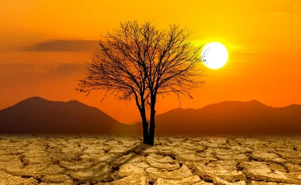 ภาพประกอบ: พายุฝนฟ้าคะนอง