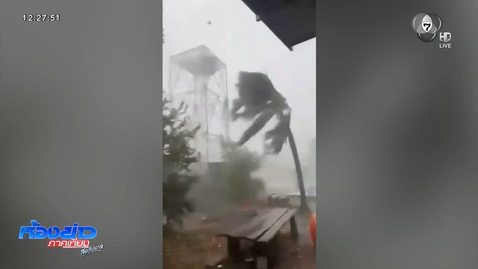 ภาพประกอบ