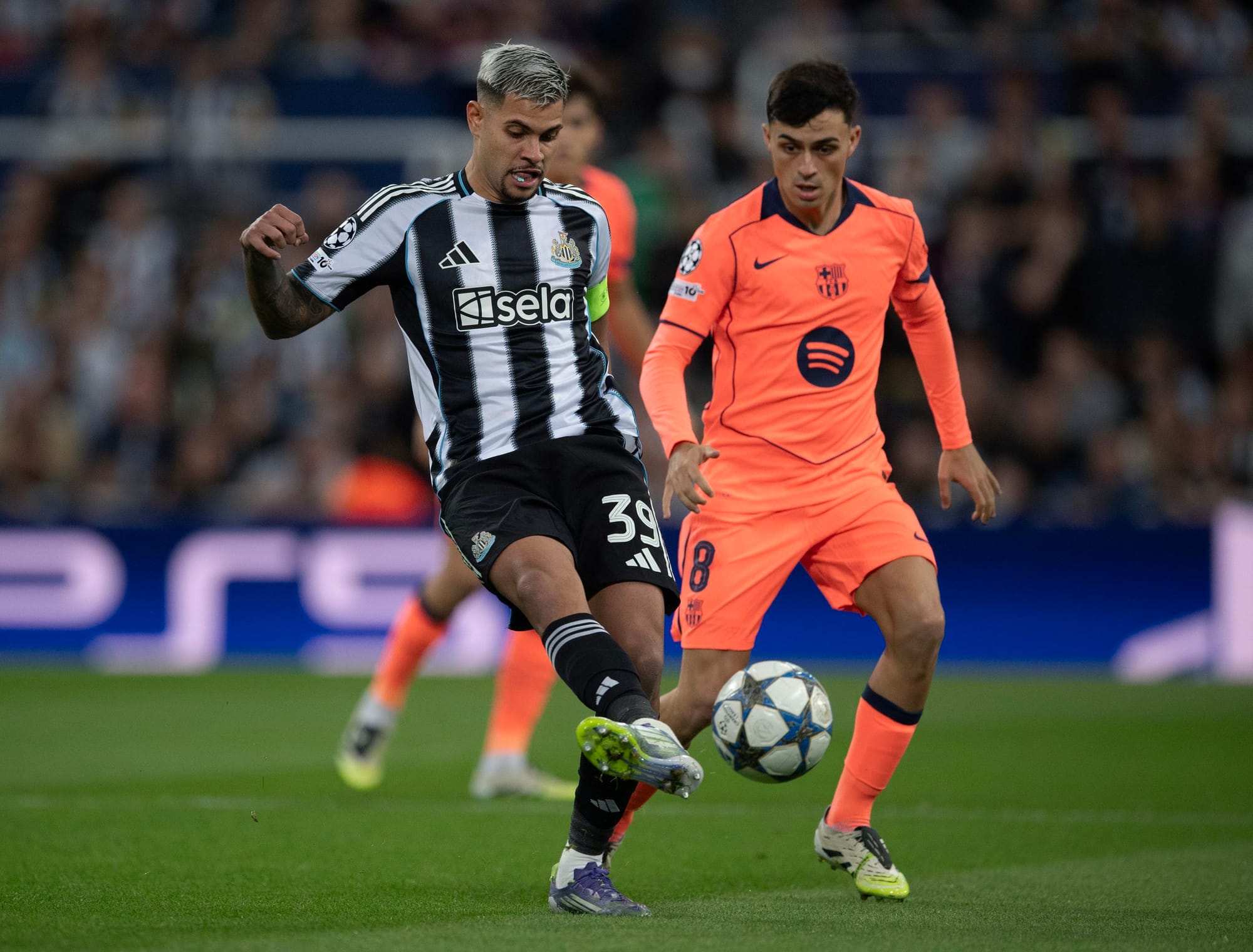 ภาพประกอบ