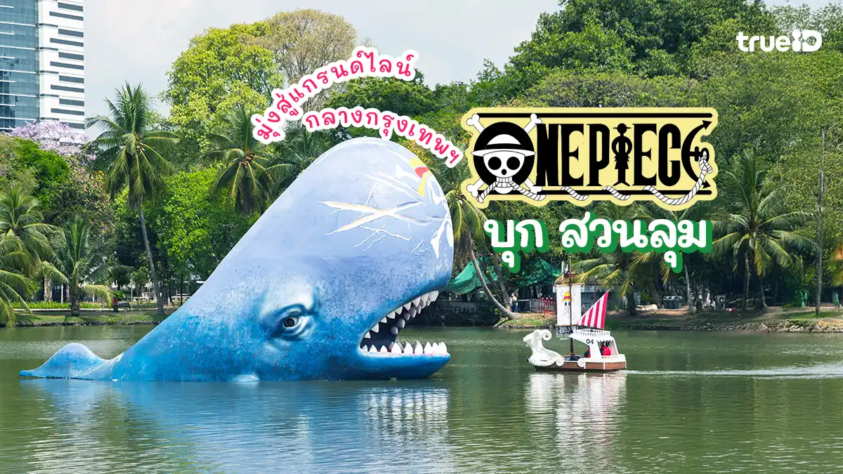 ภาพนักแสดง One Piece คนแสดง