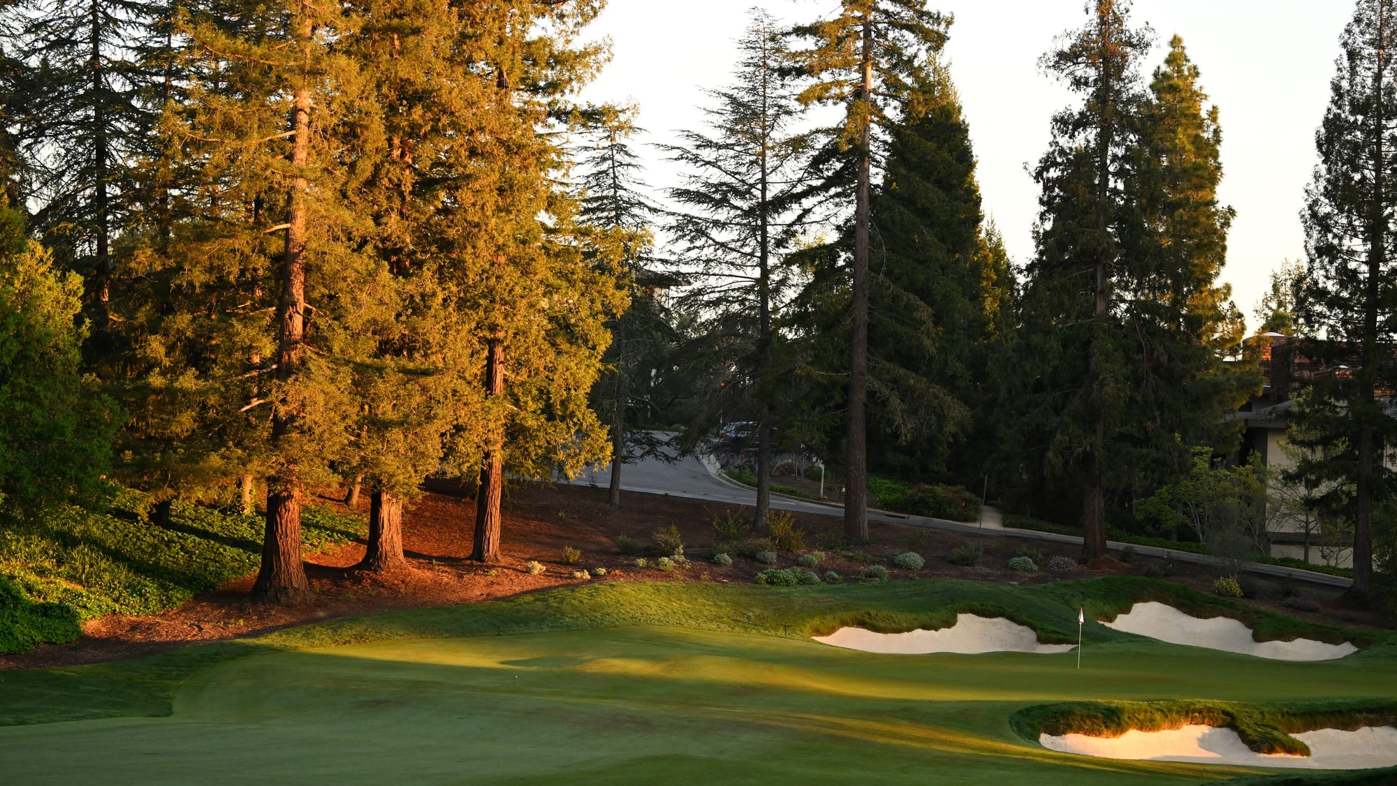 ภาพประกอบ