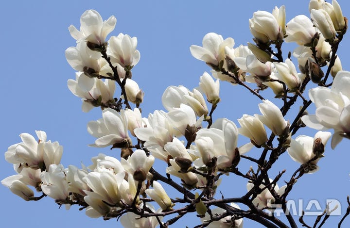 ภาพประกอบ