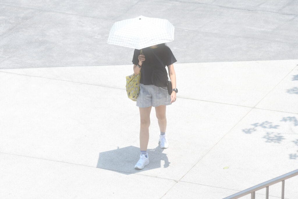 ภาพประกอบ