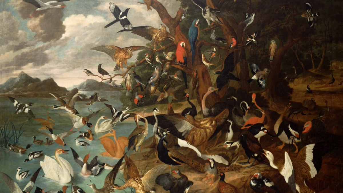 ภาพประกอบ