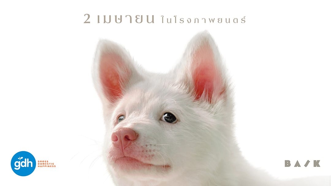 ภาพประกอบ