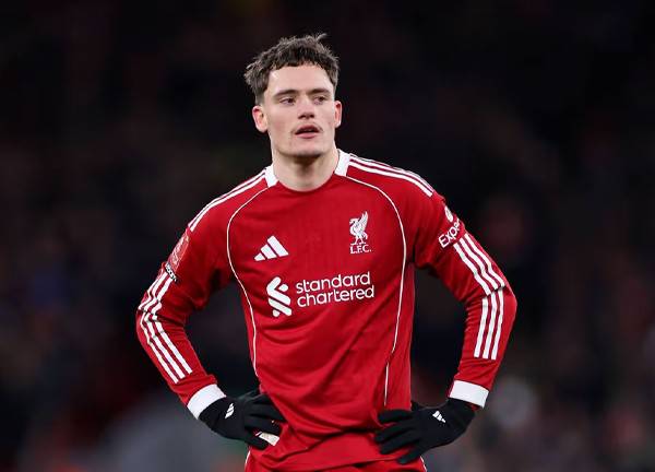 ภาพประกอบ