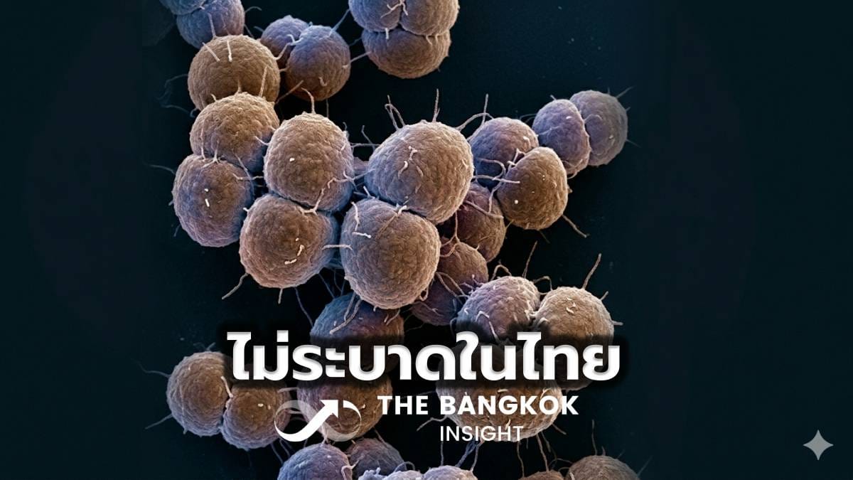 ภาพประกอบ