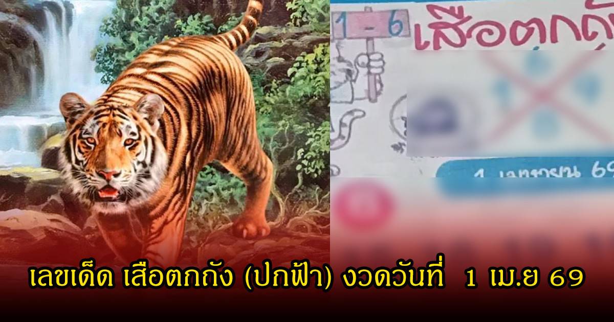 ภาพประกอบ