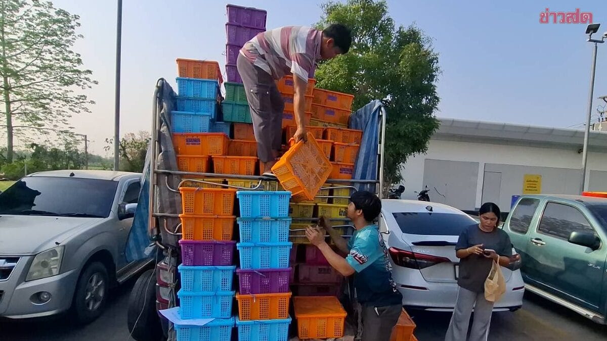 ภาพพ่อค้าสตรอว์เบอร์รีกับรถบรรทุก