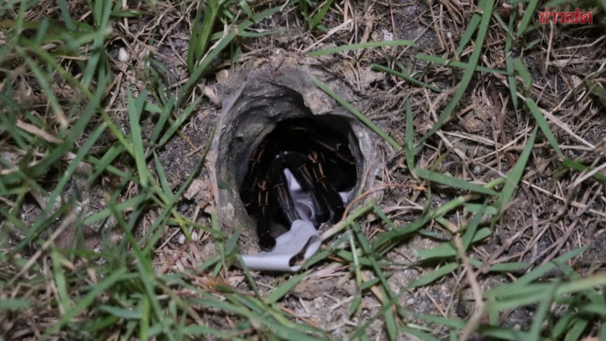 ภาพประกอบ ผลสลากกินแบ่งรัฐบาลงวดที่แล้ว