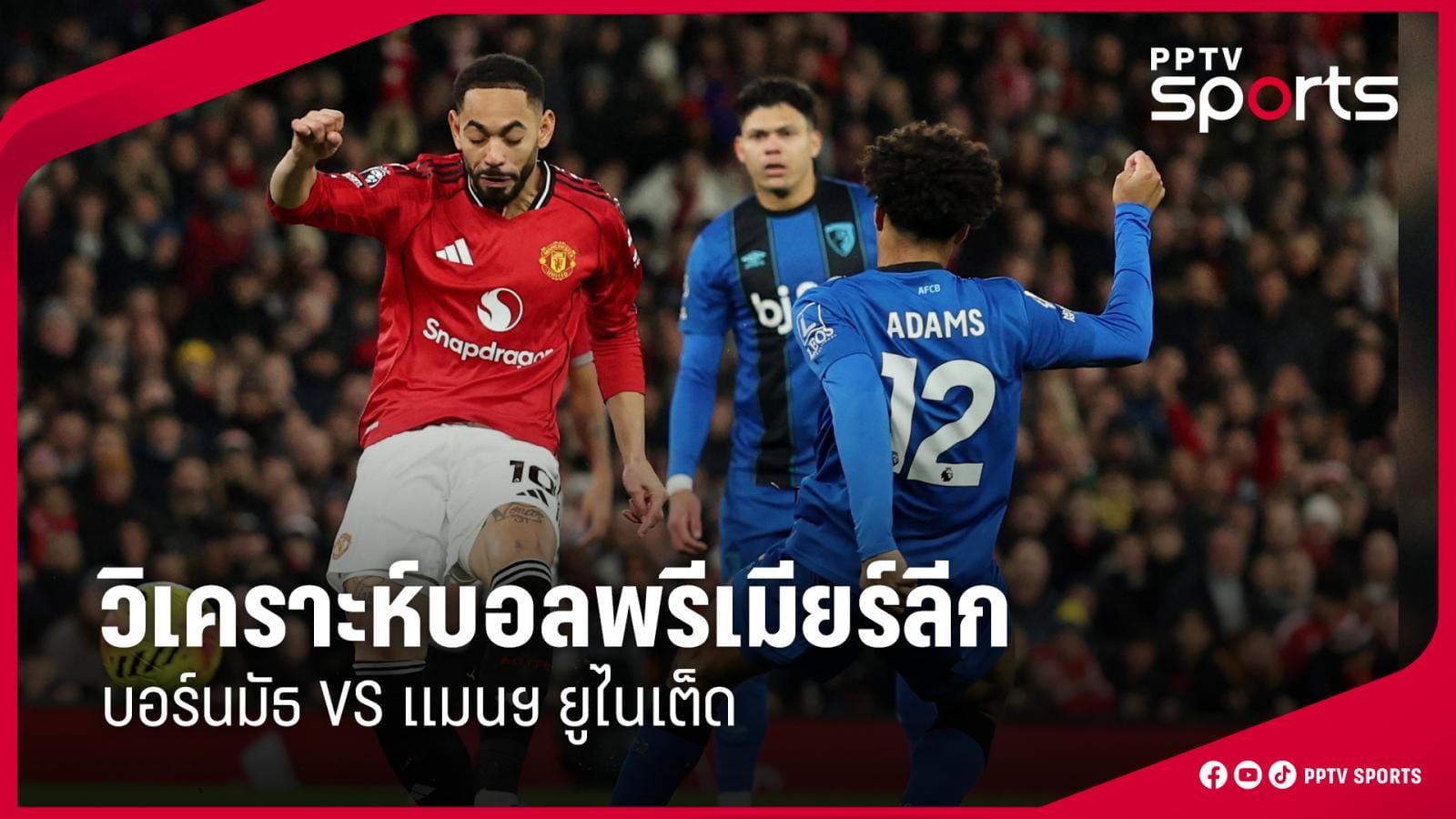 ภาพประกอบ