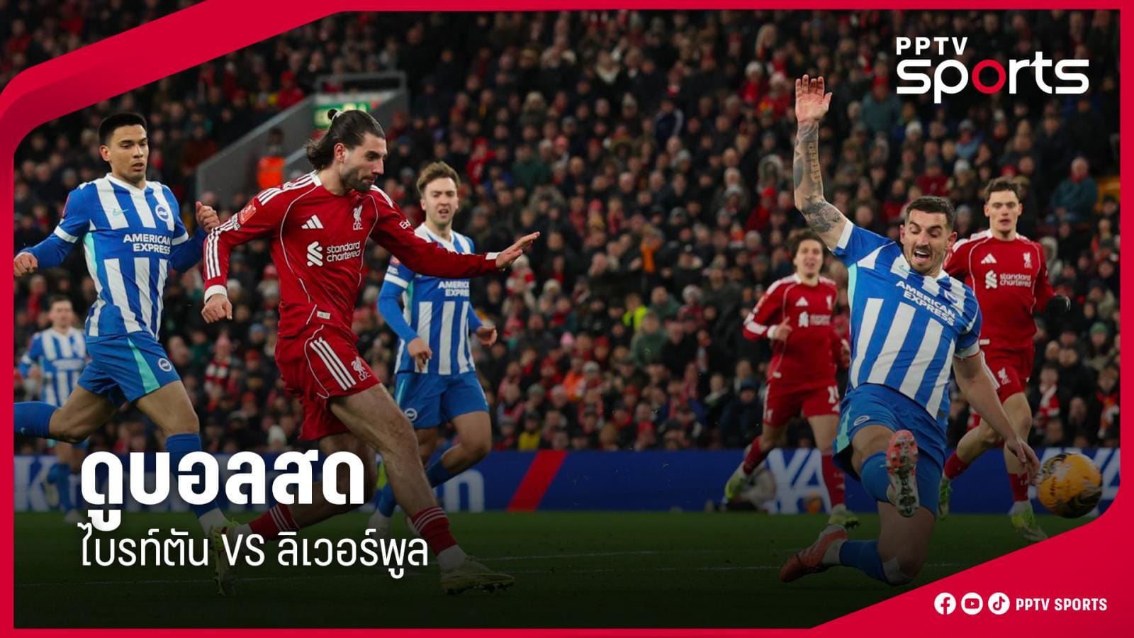 ภาพประกอบ