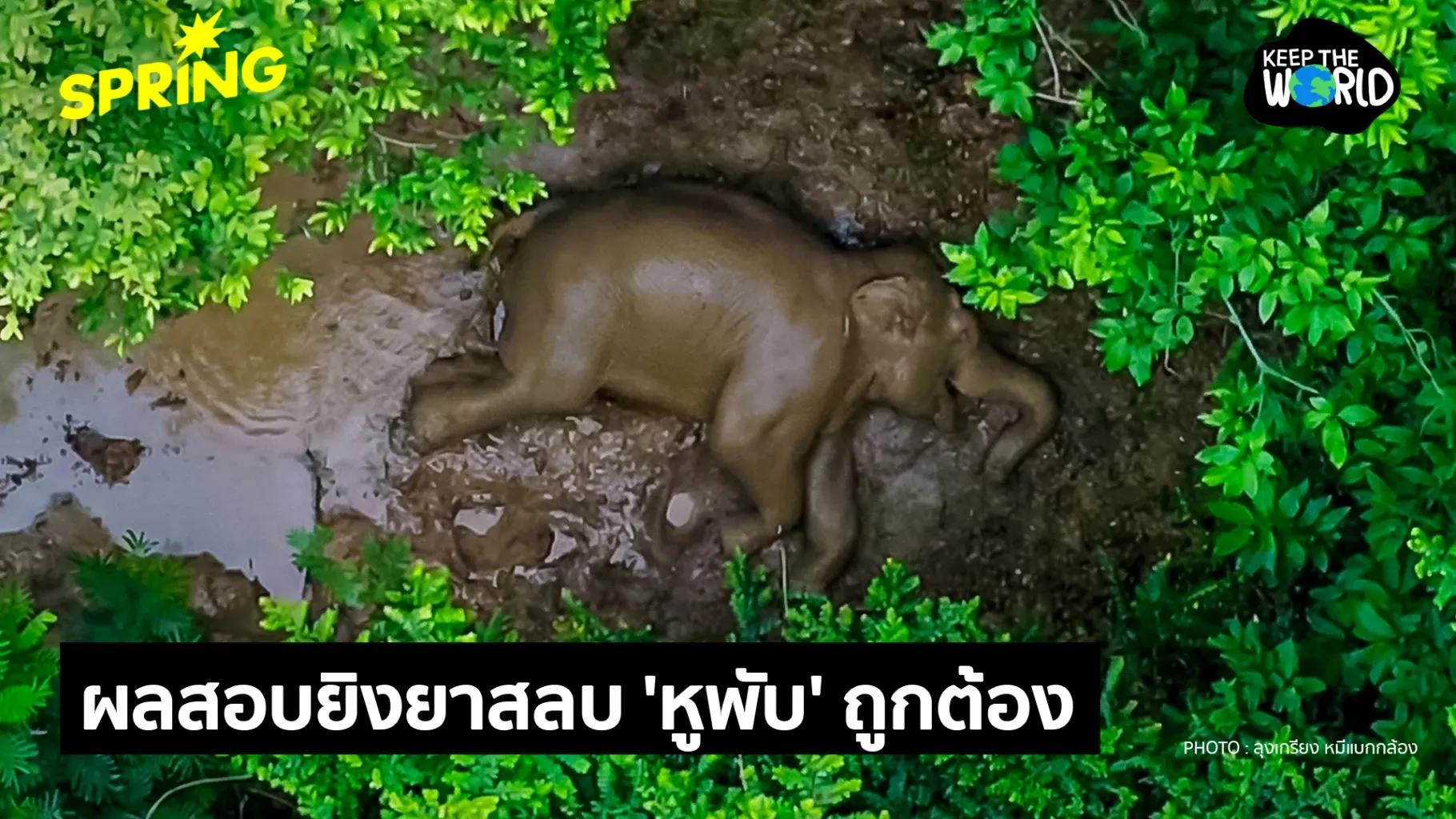 ภาพประกอบ