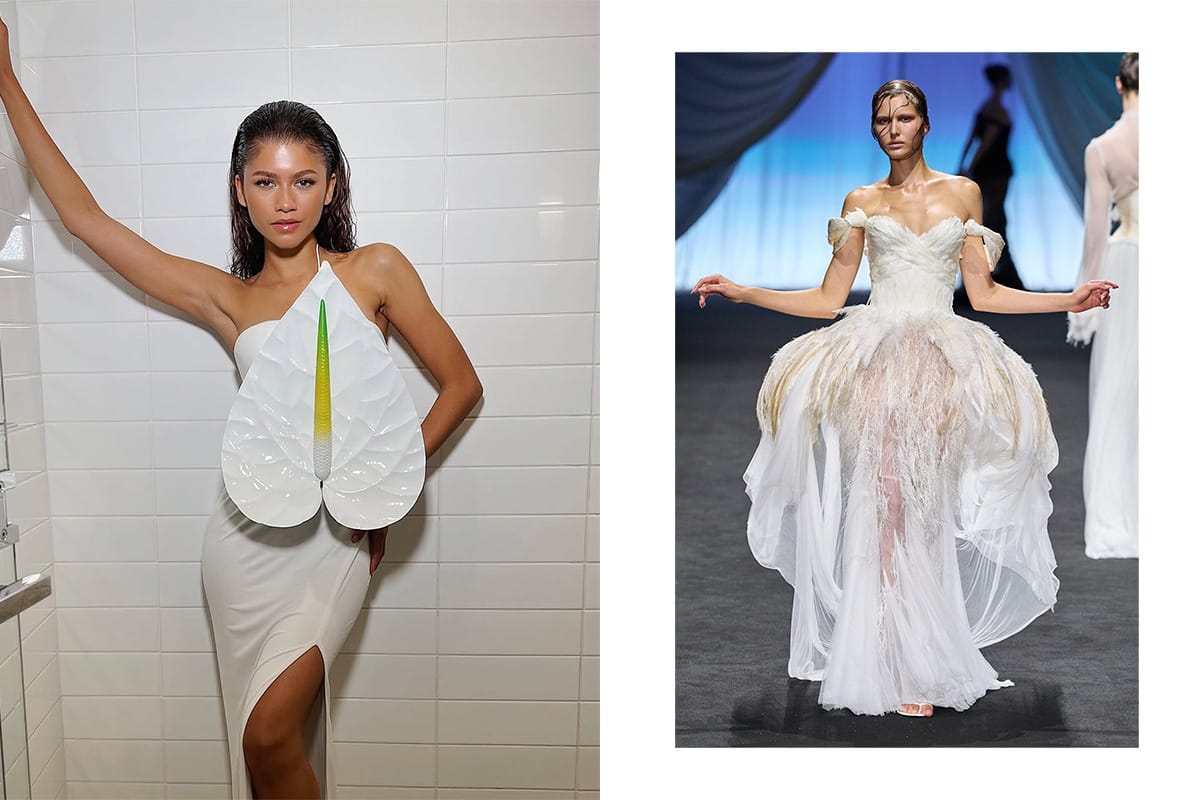 ภาพประกอบ