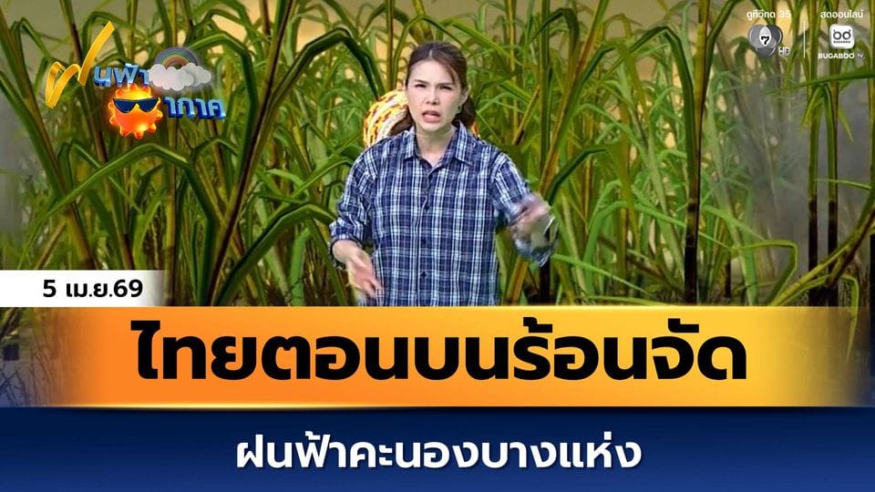 ภาพประกอบ