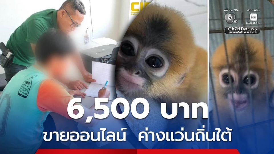 ภาพประกอบ