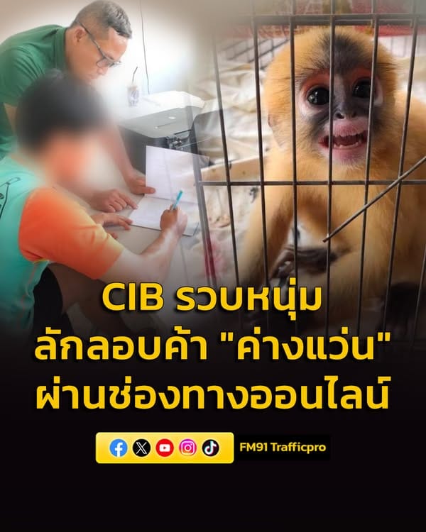 ภาพประกอบ