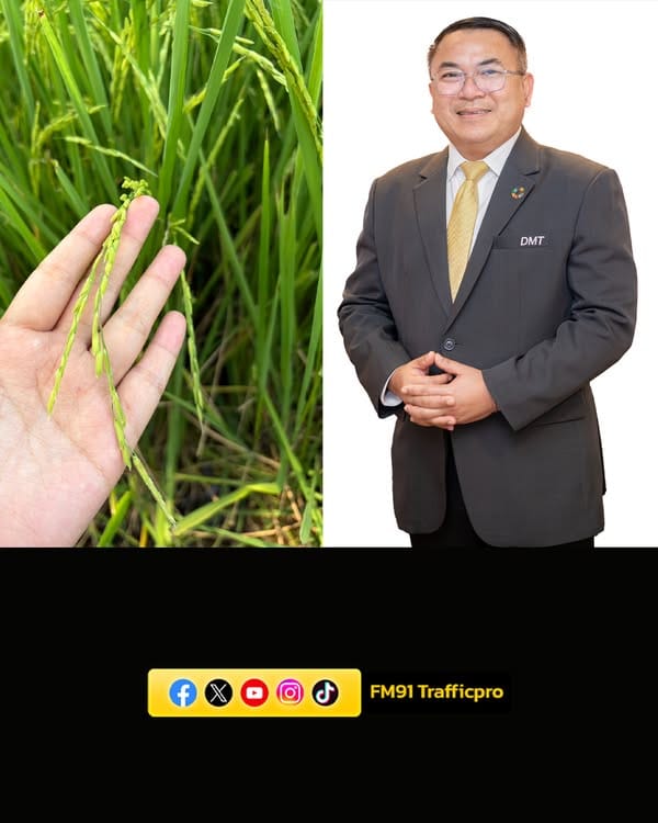 ภาพประกอบ
