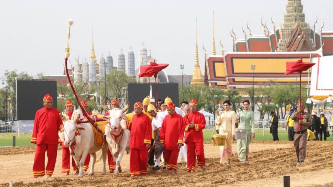 ภาพประกอบ