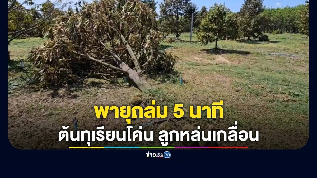 ภาพประกอบ