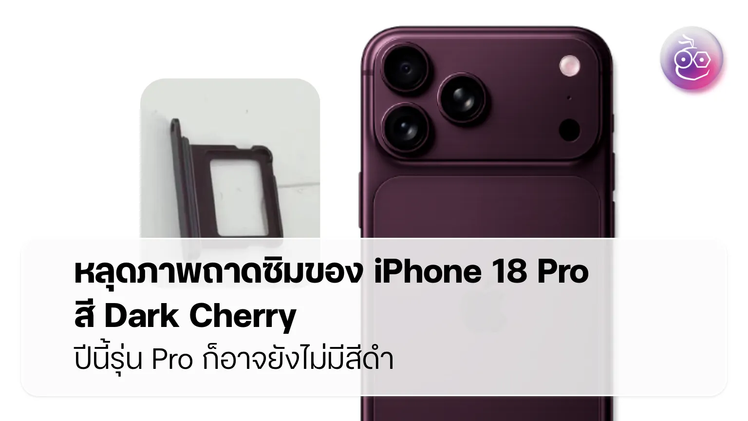 ภาพถาดซิม iPhone 18 Pro สี Dark Cherry