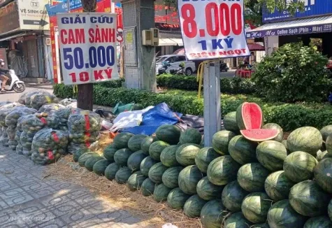 FWD ประกันชีวิต ผงาด! ตัวแทนคว้าคุณวุฒิ "TOT" สะท้อนความเป็นเลิศระดับโลก ท่ามกลางกระแสเศรษฐกิจที่หลากหลาย