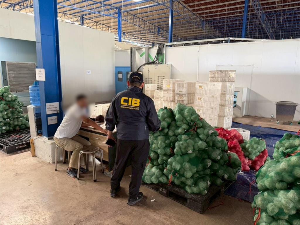 ปอศ. บุกทลาย 8 ล้งนอมินีทุนจีน: ไขปมราคามะพร้าวน้ำหอมตกต่ำทั่วประเทศ