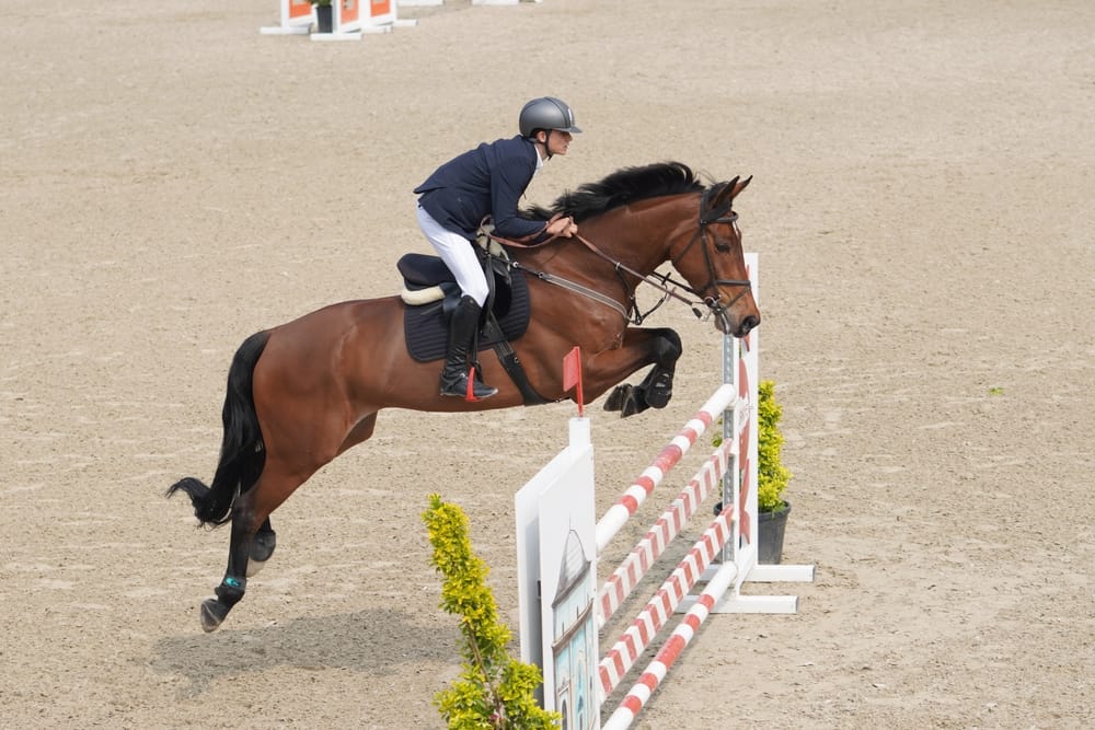 เจาะลึกกลยุทธ์ LiveScore: ถอนทัพ, เติบโต, และปรับตัวในตลาดเดิมพันระดับโลก