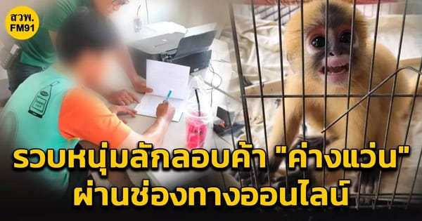 ช่อง 7 ออนไลน์: เจาะลึกบทบาทในการรายงานข่าวอาชญากรรมสัตว์ป่าคุ้มครอง