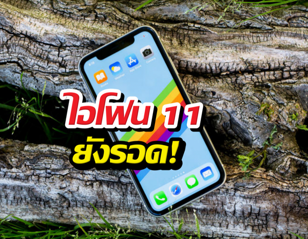 APPLE ใจป้ำ! iPhone 11 เตรียมรับ iOS 27 พร้อม Siri AI อัจฉริยะล้ำยุค
